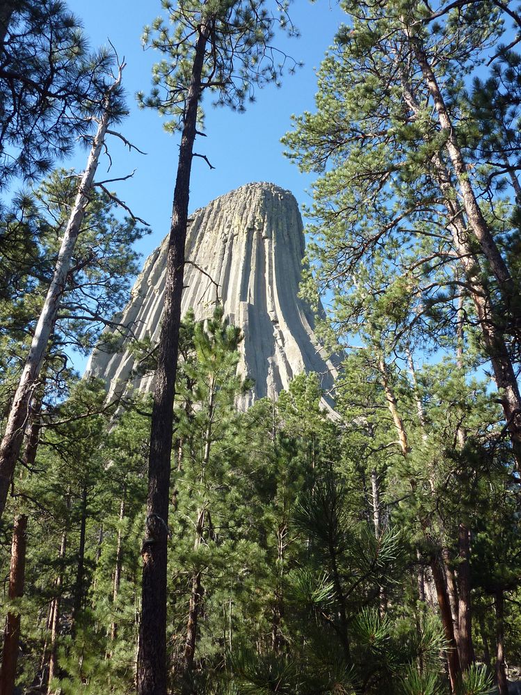Devil tower (53).JPG